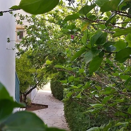 Amazones Sun Hotel