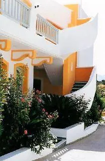 Amazones Sun 4*